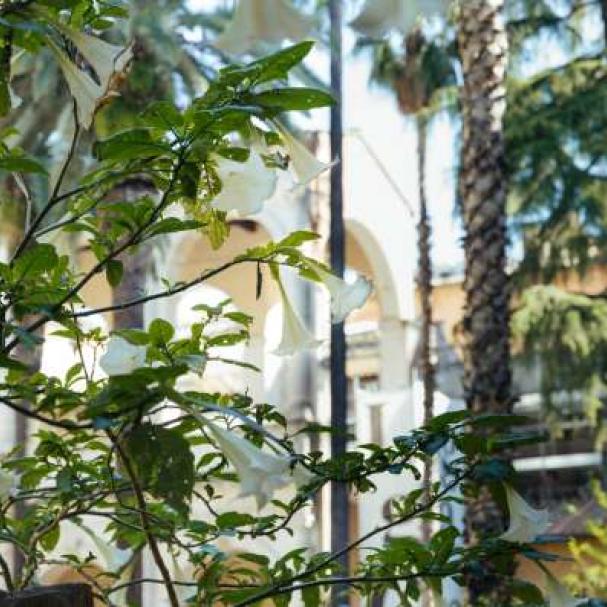 Innesti tra natura e architettura