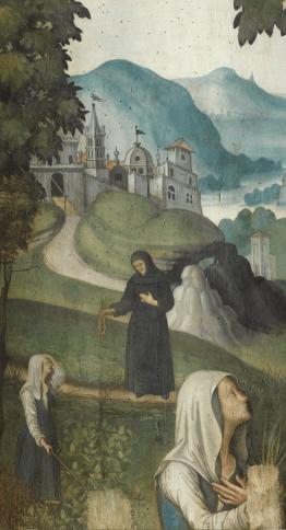 The Madonna della noce: The Visual Story of a Miracle