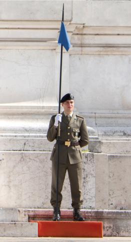 The Guard of Honour at the Tomb of the Unknown Soldier