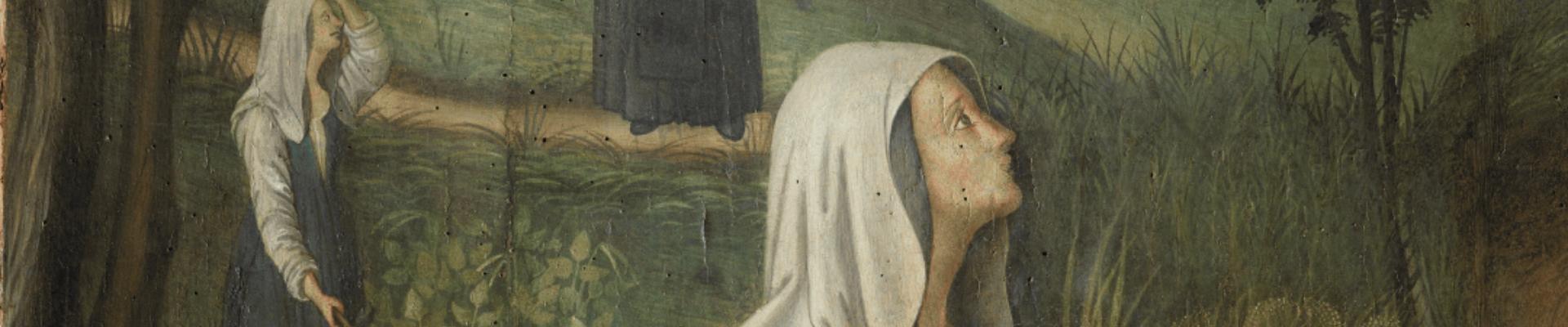 La Madonna della noce: il racconto visivo di un miracolo