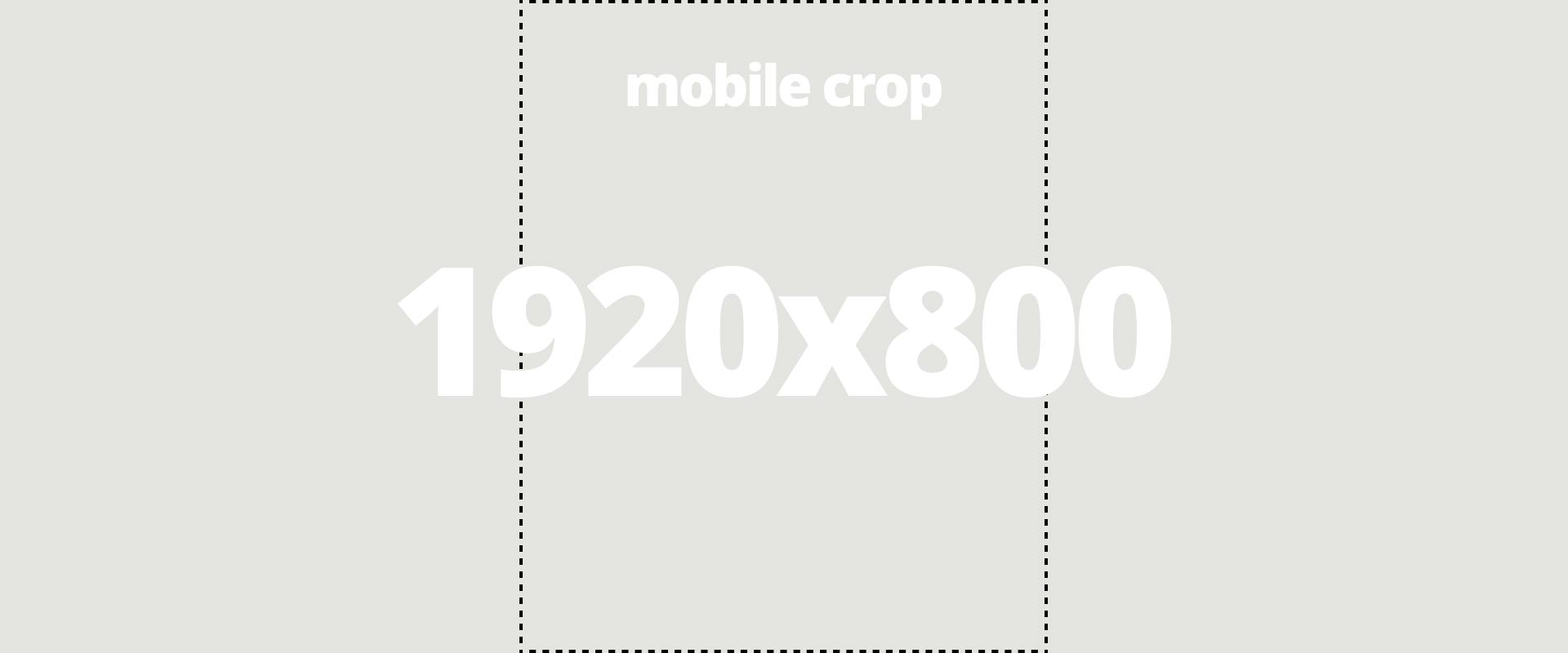 Palazzo Venezia, la rotella di Stradano