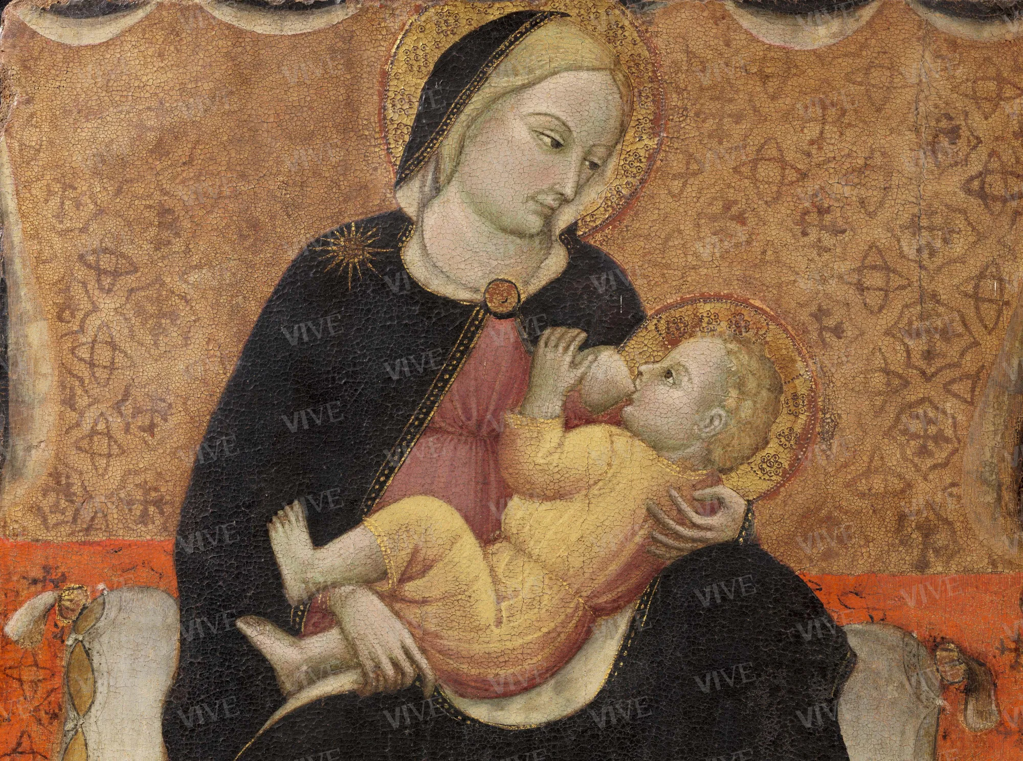 Madonna con Bambino, san Cosma, san Cristoforo, san Damiano - Cristoforo da Bologna
