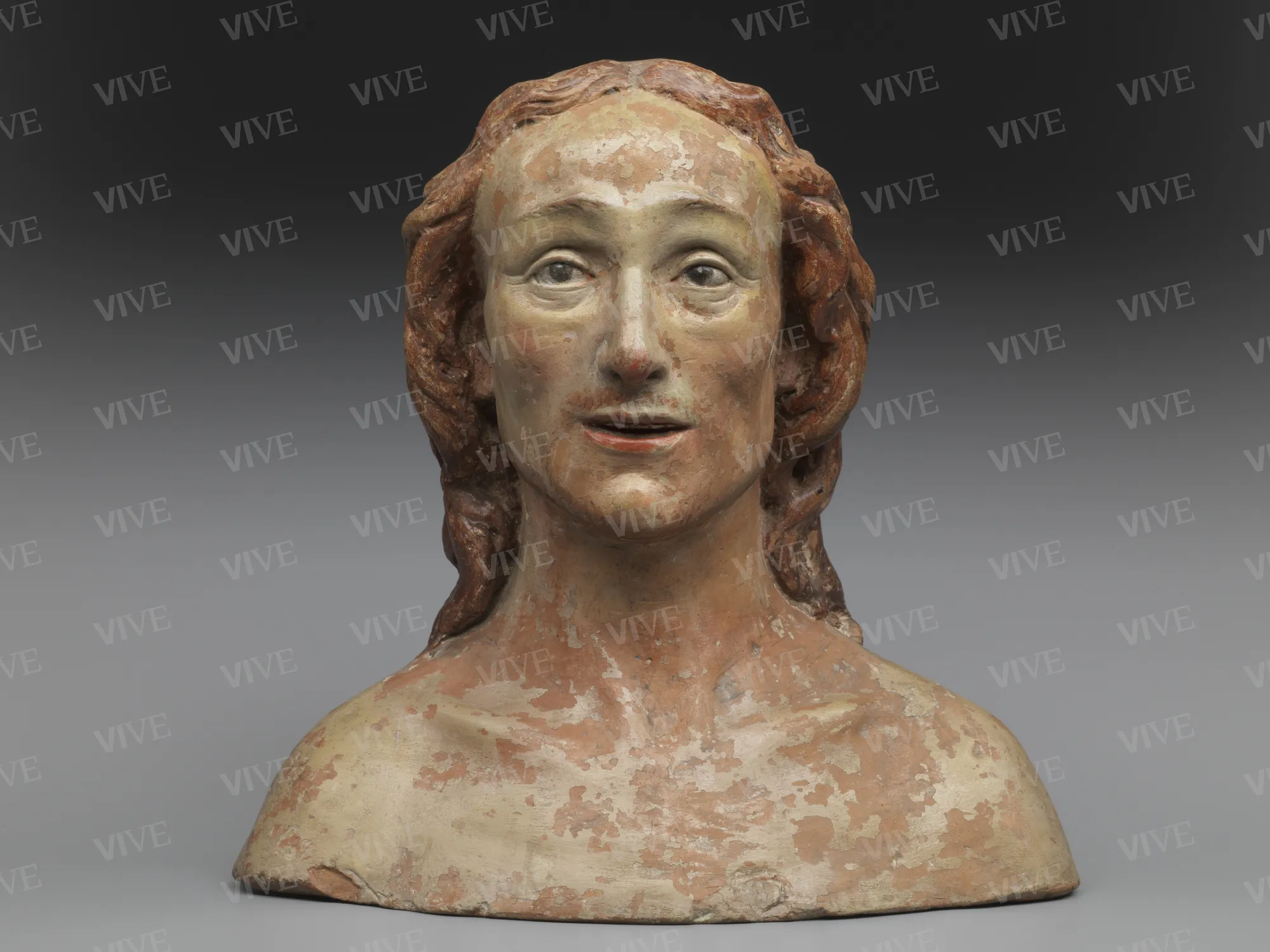 Male bust - Bartolomeo Sinibaldi called Baccio da Montelupo