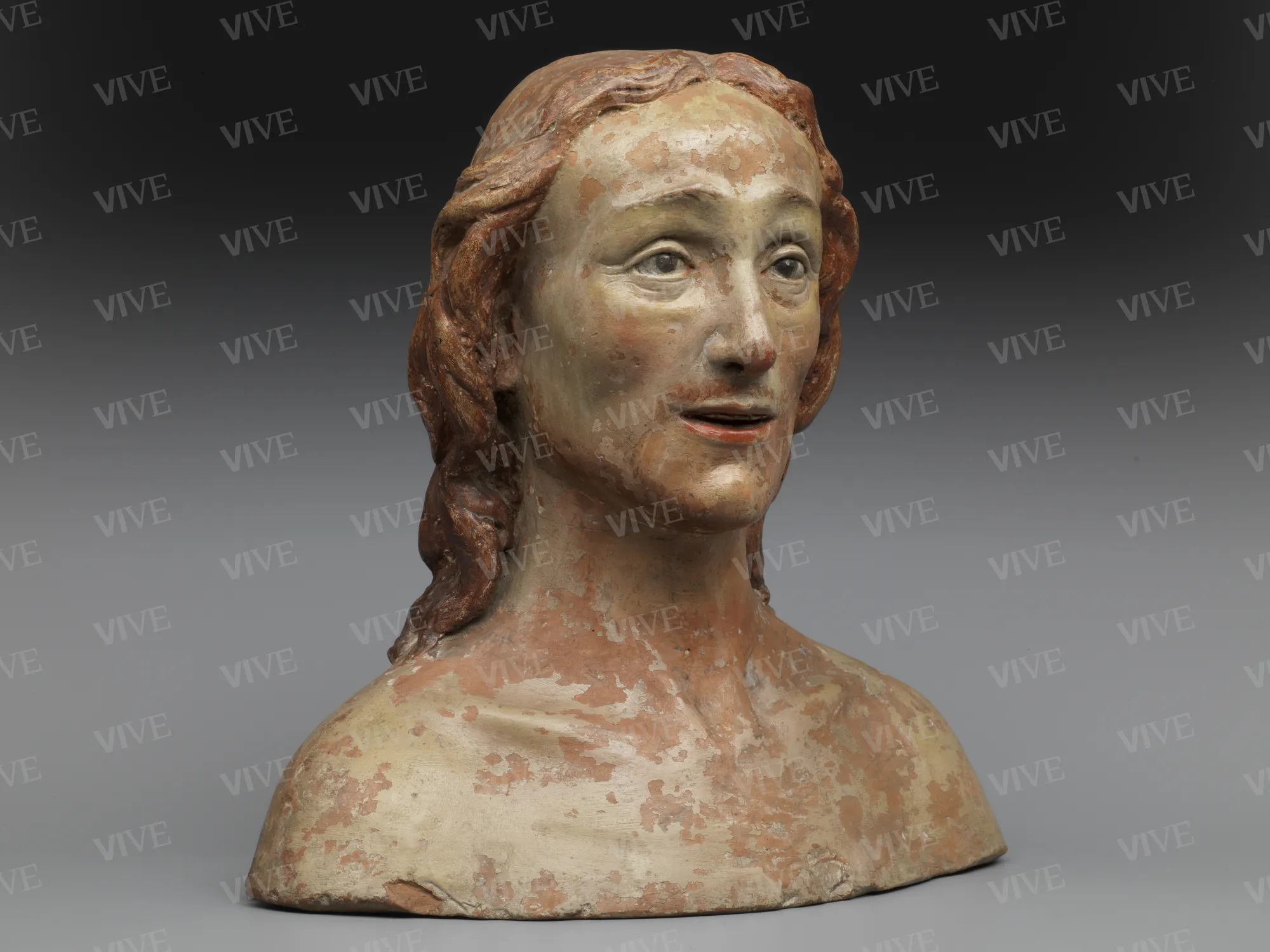 Male bust - Bartolomeo Sinibaldi called Baccio da Montelupo