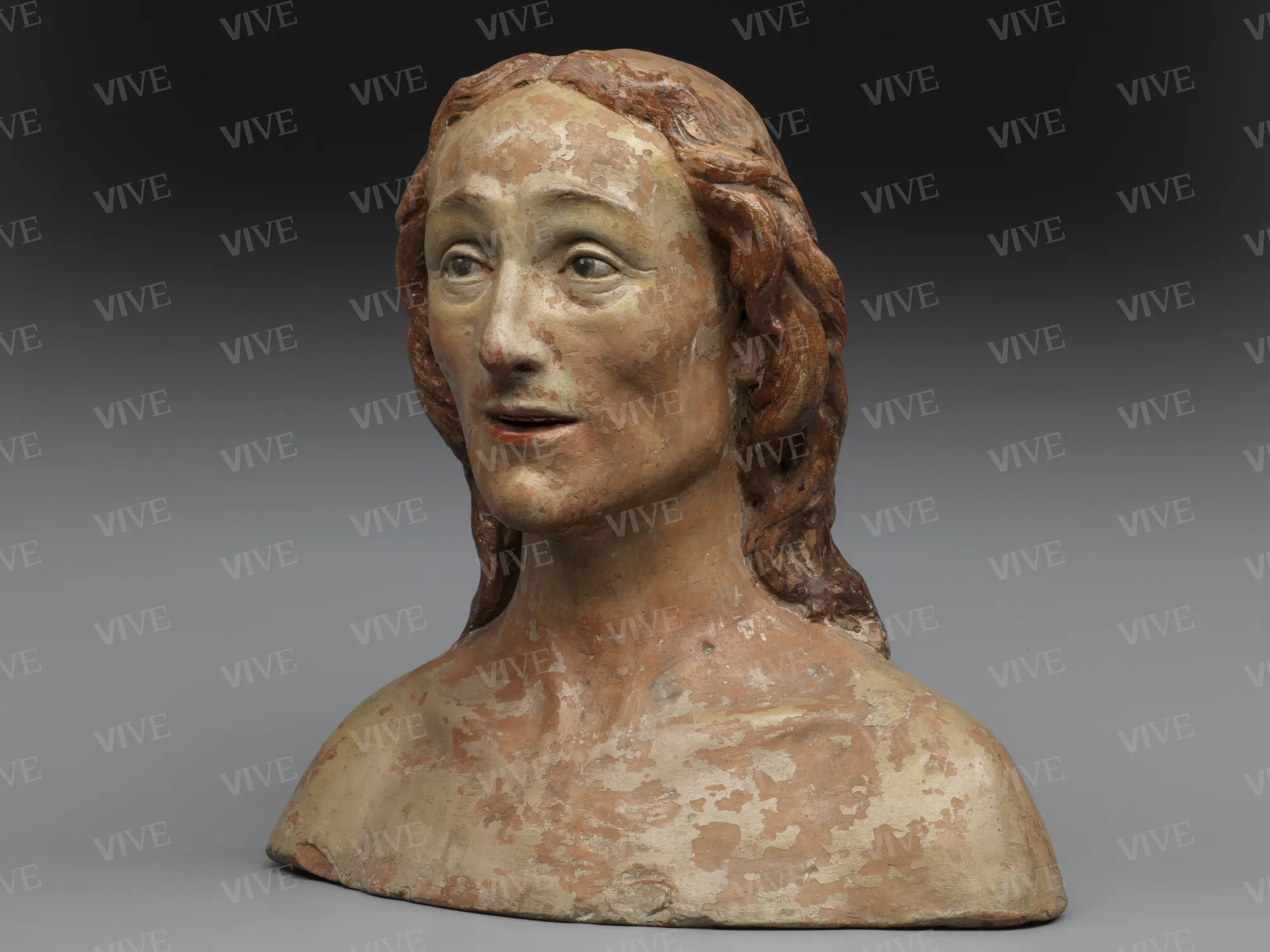Male bust - Bartolomeo Sinibaldi called Baccio da Montelupo