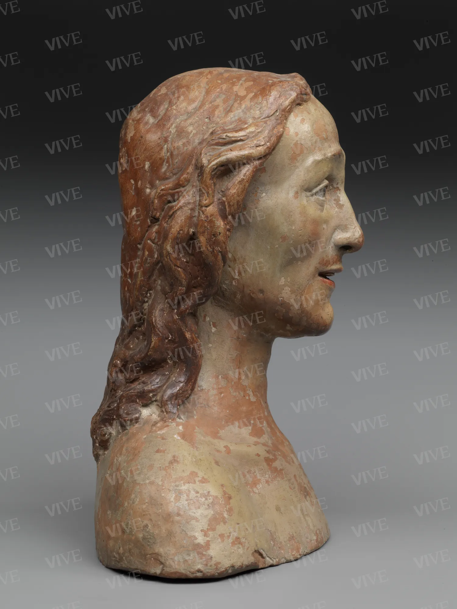 Male bust - Bartolomeo Sinibaldi called Baccio da Montelupo