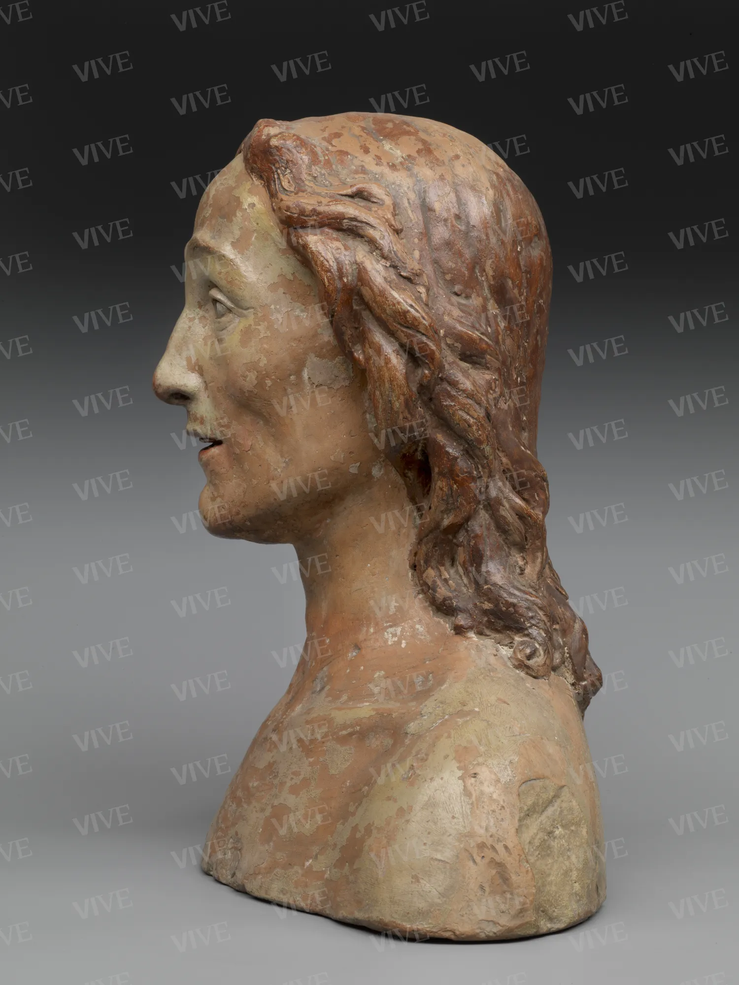 Male bust - Bartolomeo Sinibaldi called Baccio da Montelupo