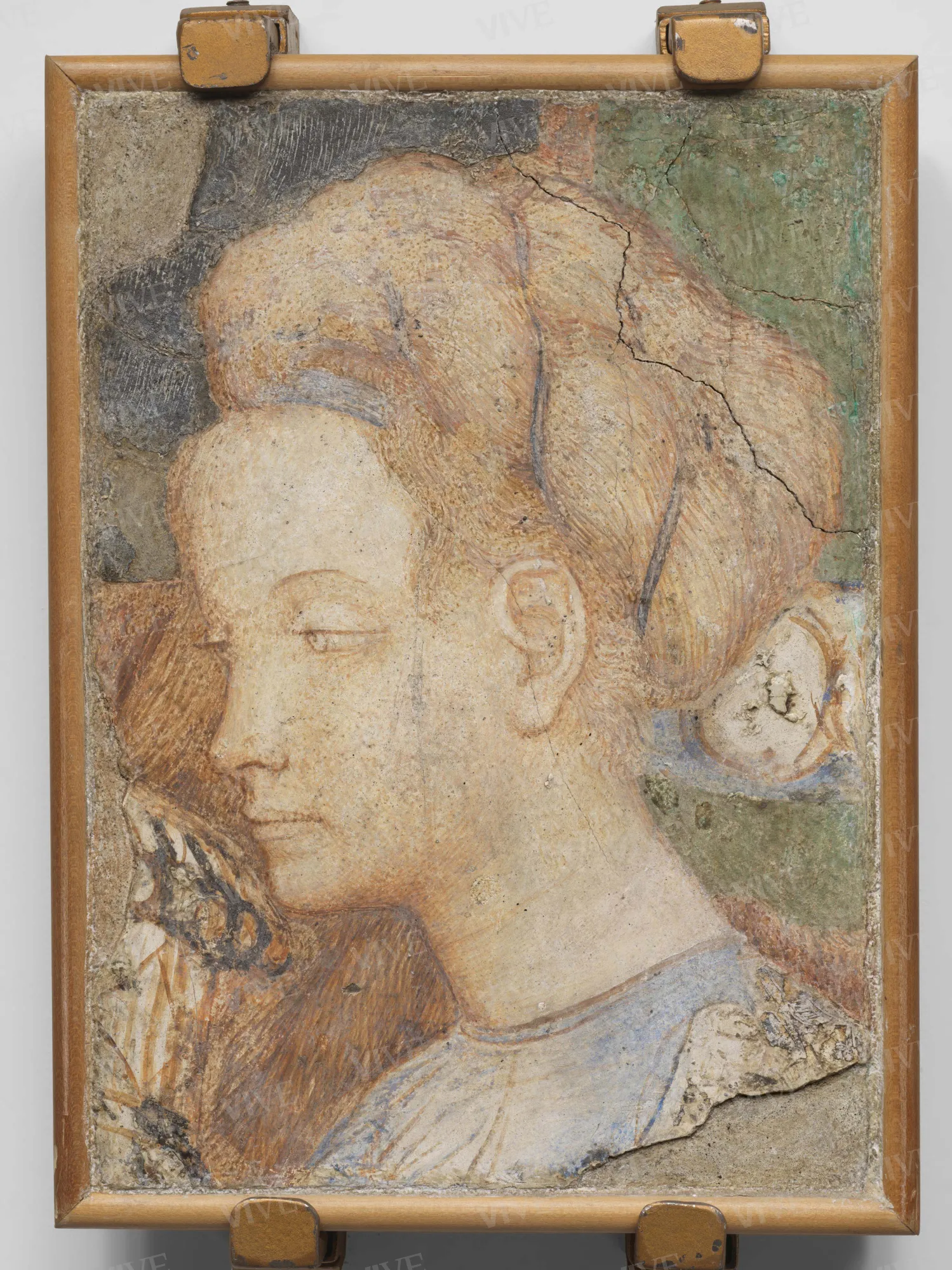 Testa femminile - Antonio di Puccio detto Pisanello