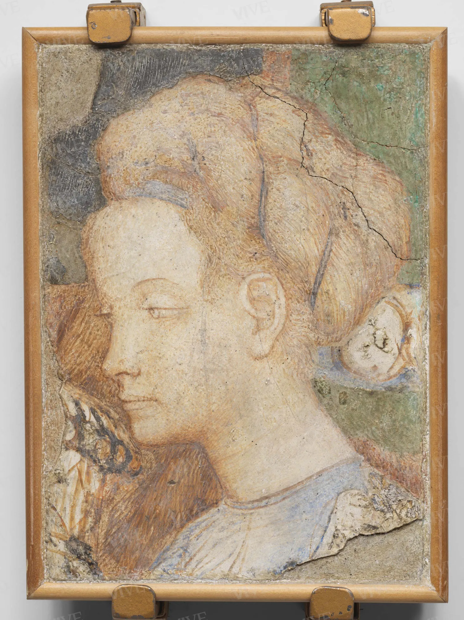 Testa femminile - Antonio di Puccio detto Pisanello