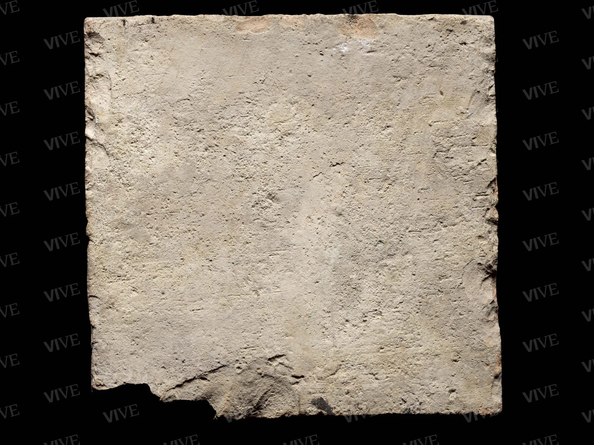Formella con emblema Montefeltro - ambito centroitaliano