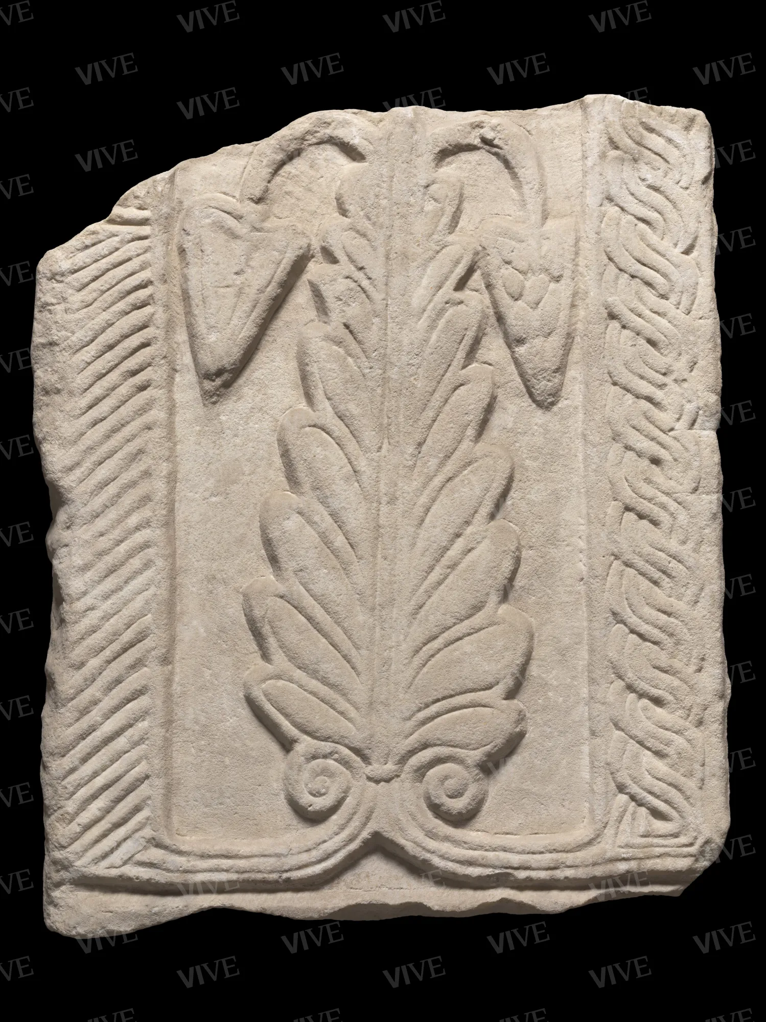 Frammento di pluteo bifronte con alberello - ambito romano