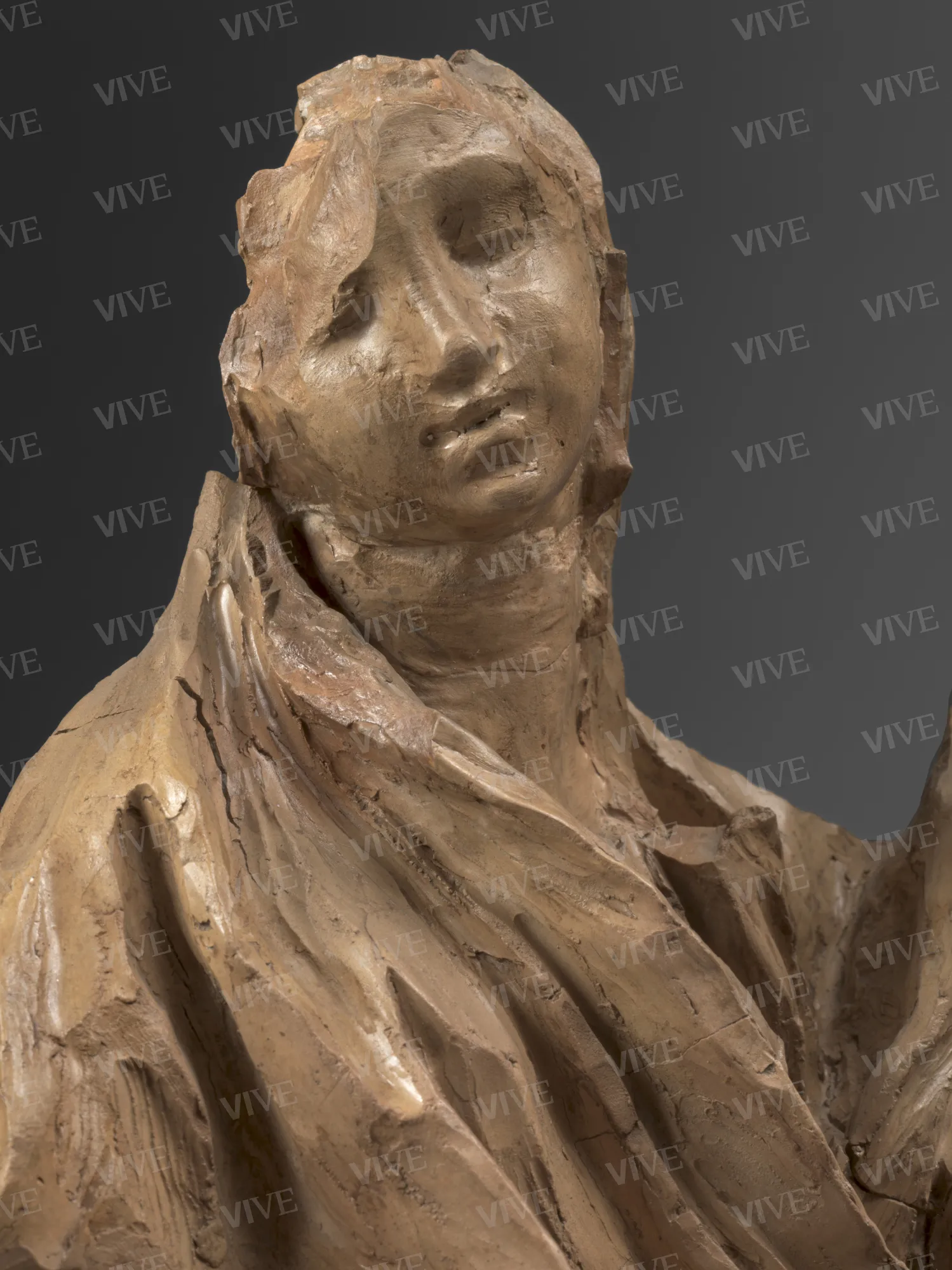 Figura allegorica che tiene un medaglione con il ritratto di papa Innocenzo XI Odescalchi  - Pierre Legros