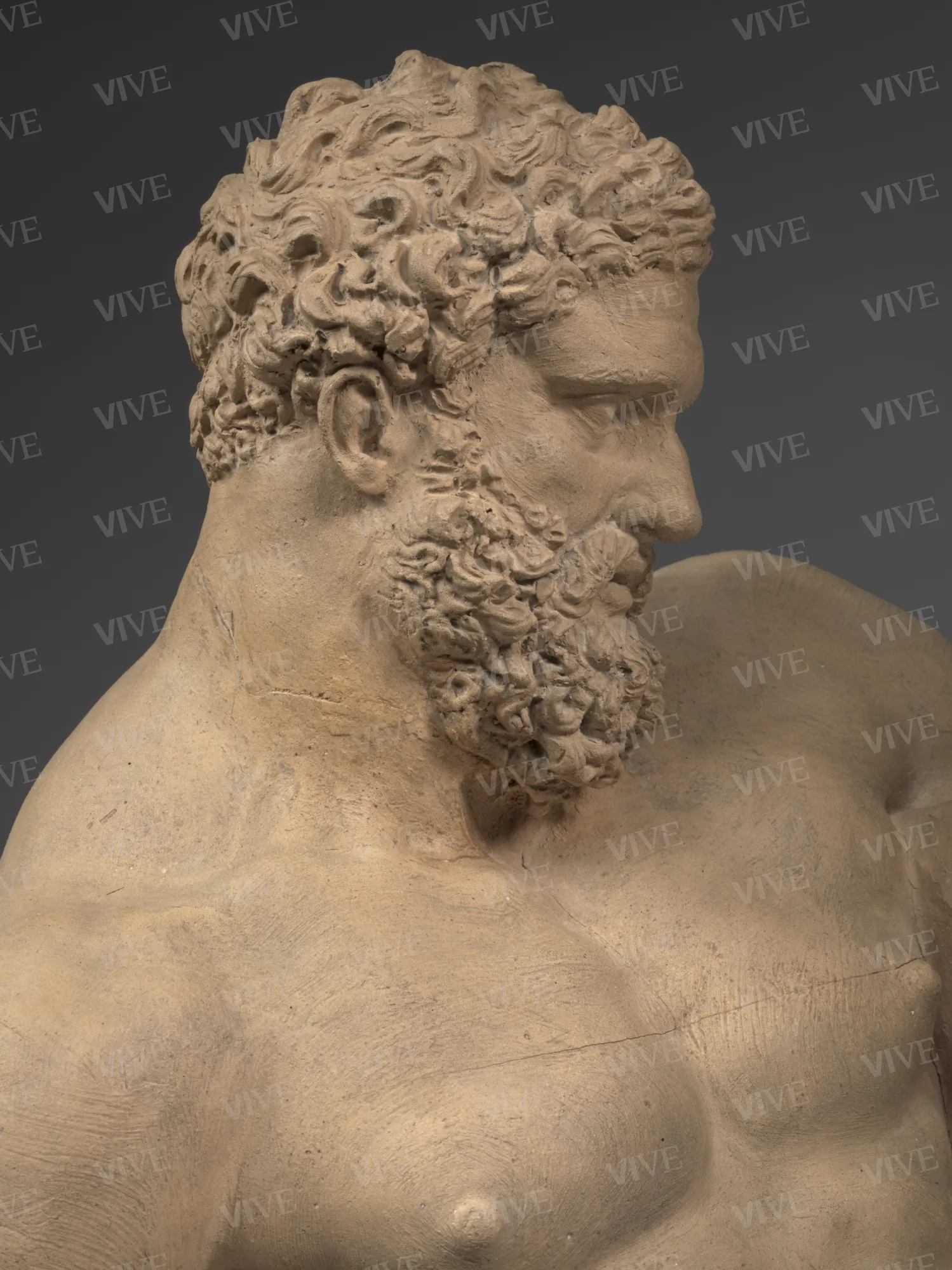 Ercole Farnese - Bartolomeo Cavaceppi