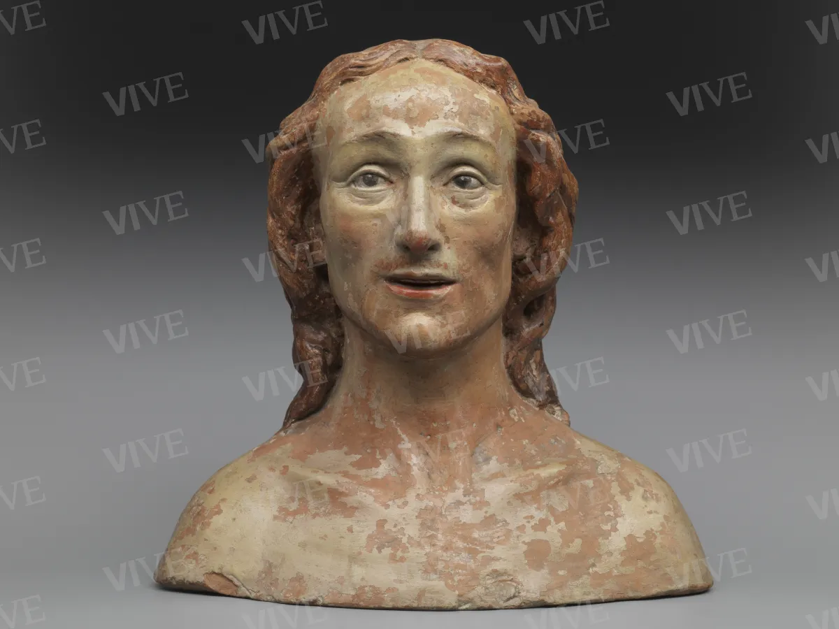 Male bust - Bartolomeo Sinibaldi called Baccio da Montelupo
