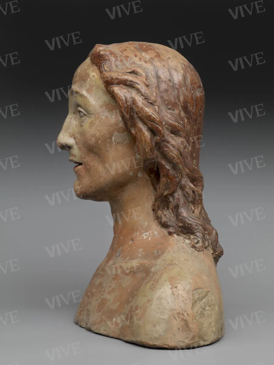 Male bust - Bartolomeo Sinibaldi called Baccio da Montelupo