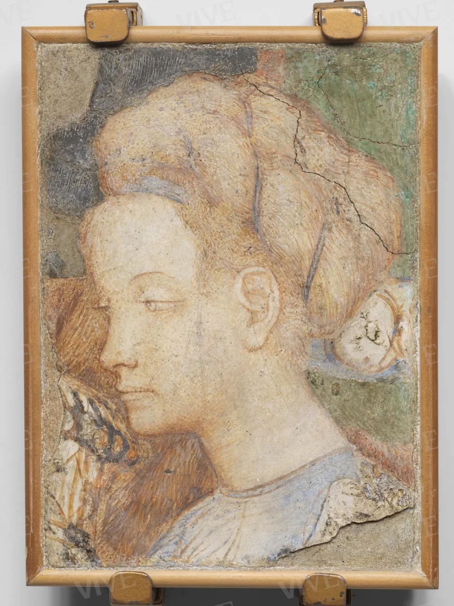 Testa femminile - Antonio di Puccio detto Pisanello