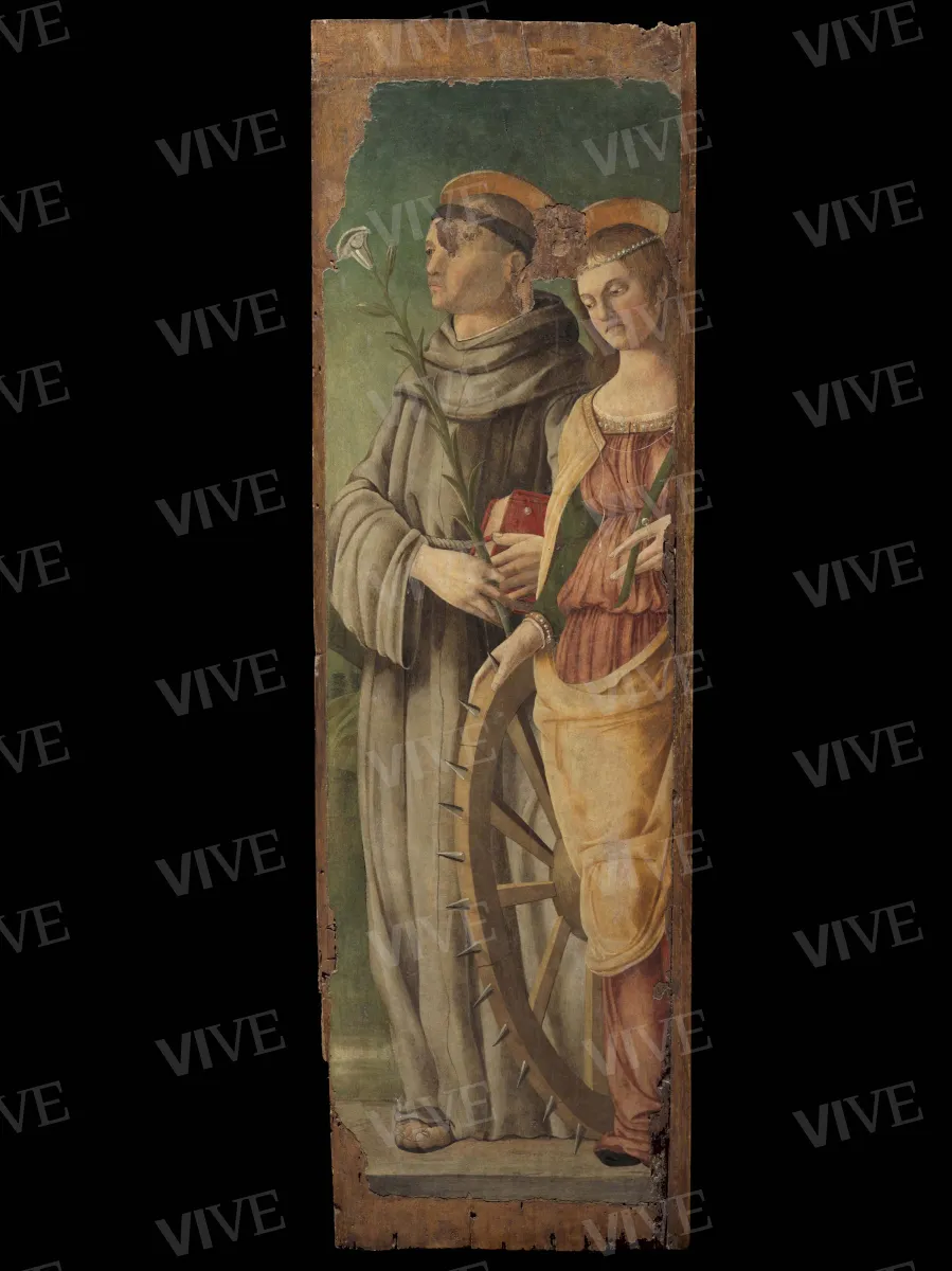 Madonna con il Bambino; santi Pietro martire e Girolamo; santi Antonio da Padova e Caterina d’Alessandria - Angelo di Silvestro detto Angelo Zoppo o Zotto ?