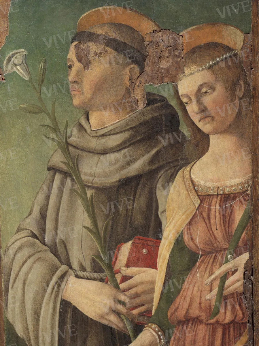 Madonna con il Bambino; santi Pietro martire e Girolamo; santi Antonio da Padova e Caterina d’Alessandria - Angelo di Silvestro detto Angelo Zoppo o Zotto ?