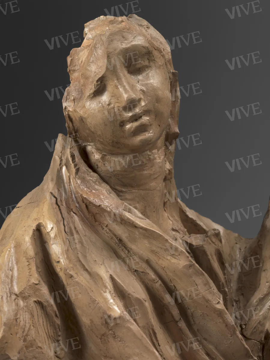 Figura allegorica che tiene un medaglione con il ritratto di papa Innocenzo XI Odescalchi  - Pierre Legros